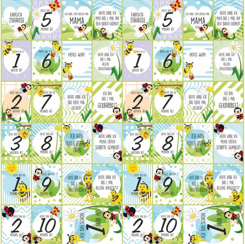 Meilensteinkarten mit Marienkäfern und Bienen